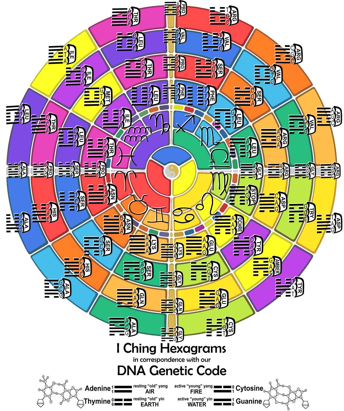 DNA and I Ching on World Clock